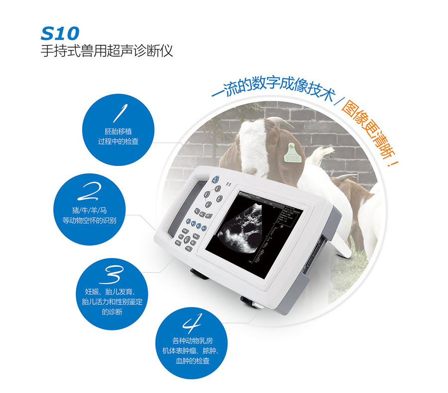 豬用B超,獸用B超,懷孕母豬B超,豬用測(cè)孕儀,母豬測(cè)孕儀
